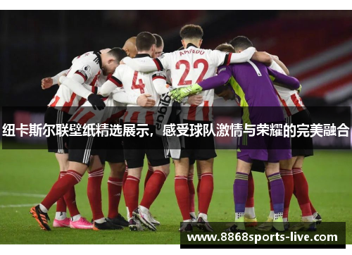 纽卡斯尔联壁纸精选展示，感受球队激情与荣耀的完美融合