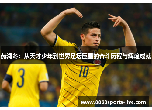 赫海冬：从天才少年到世界足坛巨星的奋斗历程与辉煌成就