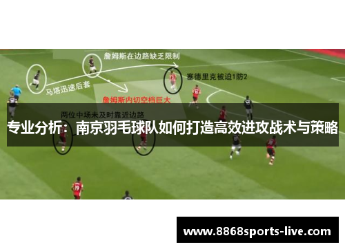 专业分析：南京羽毛球队如何打造高效进攻战术与策略